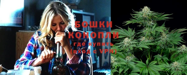 спайс Нея