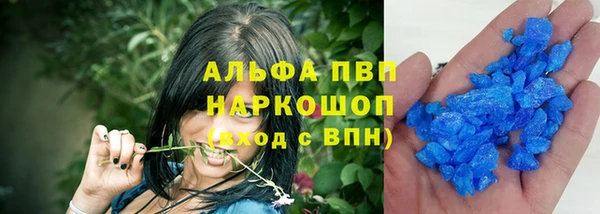 спайс Нея