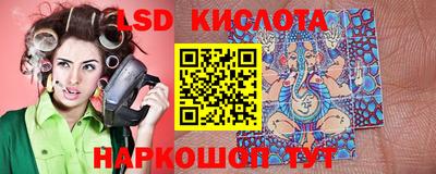 гидропоника Бийск