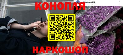 гидропоника Гусев