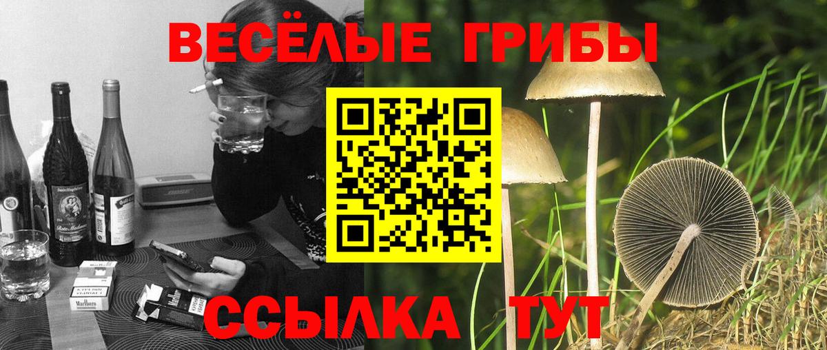 Псилоцибиновые грибы MAGIC MUSHROOMS Мирный
