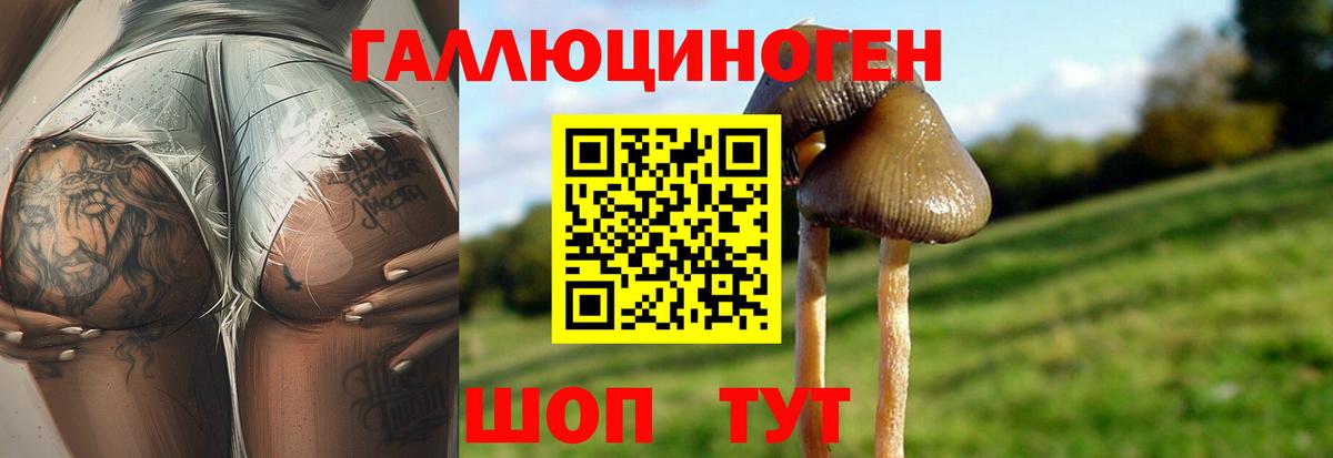 Галлюциногенные грибы мицелий  Псилоцибиновые грибы MAGIC MUSHROOMS  Мирный 